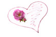 Foto: tender Heart tender Heart