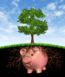 Seed Money