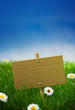 green sign, garden grass, banner, nature, blue sky