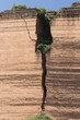 fissure
