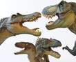 Foto: A Spinosaurus, Tyrannosaurus Rex, Velociraptor and Allosaurus A Spinosaurus, Tyrannosaurus Rex, Velociraptor and Allosaurus