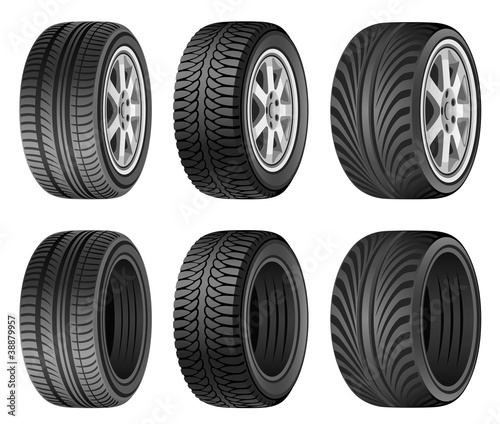 Vector: Wheel Wheel
