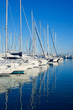 Blue Denia marina port in Alicante Spain