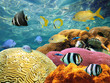 Underwater surface
