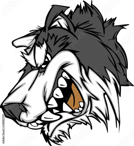 Vector: Snarling Cartoon Husky Dog Mascot Vector Graphic Snarling Cartoon Husky Dog Mascot Vector Graphic