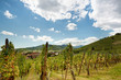 French Alsace wine village French Alsace wine village