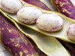 Kidney bean on white wooden surface