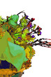 Illustration: Drawing flowers Drawing flowers