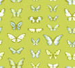 Photo en ligne au meilleur prix Green seamless highly detailed background with butterflies