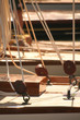 team spirit esprit d'équipe voilier regate mer ocean yachting