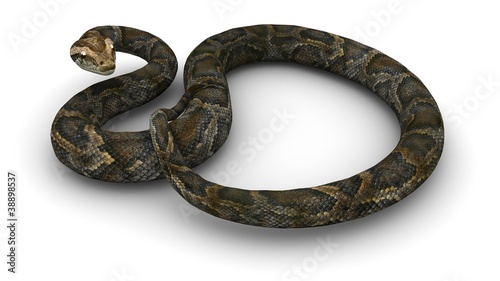 Illustration: Python Python