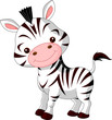 Fun zoo. Zebra