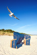 Strandkörbe am Strand mit Möwe