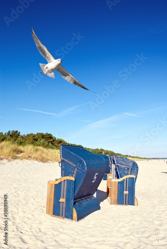 Foto: Strandkörbe am Strand mit Möwe Strandkörbe am Strand mit Möwe