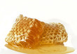 Honeycomb close up on the white Honeycomb close up on the white