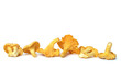 Yellow chanterelles