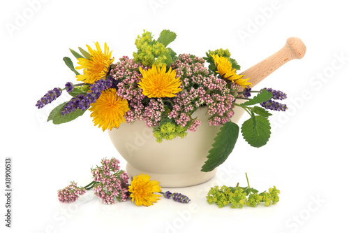Photo: Herb Flower Selection Herb Flower Selection