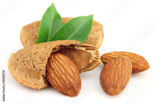 Photo: Almonds with leaves Almonds with leaves