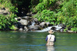 Fly Fishing
