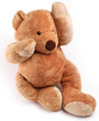 Teddy bear in a worry.