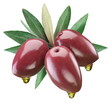 Olives with leaves on a white