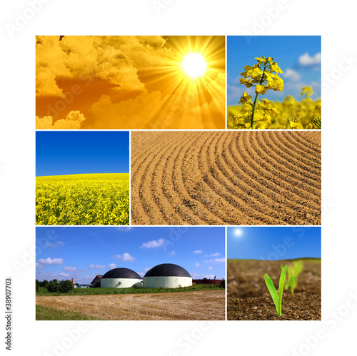 Foto: Bionenergy Bionenergy