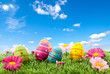 Osterwiese vor Frühlingswölkchen