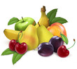 fruit