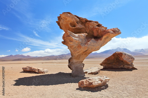 Photo: Arbol de Piedra or stone tree on Altiplano, Bolivia Arbol de Piedra or stone tree on Altiplano, Bolivia