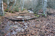 Arroyo de la Dehesa