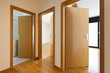 beautiful apartment, interior, wooden doors open