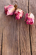 Dry pink roses on old wooden background Dry pink roses on old wooden background