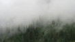 Time lapse of moving fog over the forest in alps
