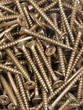 screws in detail
