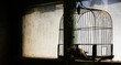 Photo: birdcage birdcage