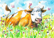 Cow And A Field