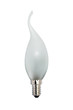 Glass bulb. Isolated image.