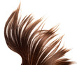 healthy hair