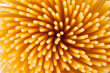Bunch of spaghetti