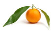 Foto: Tangerine with leaves isolated on white Tangerine with leaves isolated on white