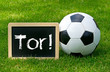 Foto: Fussball Tor Fussball Tor