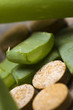 aloe vera plant with pills - herbal medicine aloe vera plant with pills - herbal medicine