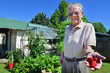 Photo: Fruits and Vegetables - Garden Strawberry Fruits and Vegetables - Garden Strawberry