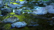Beautiful River Stream
