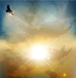 Vector Background With High-so...