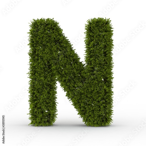 Illustration: Buchstabe N Natur Buchstabe N Natur