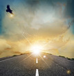 Vektor: Vector landscape with rising sun, soaring eagle, and the road Vector landscape with rising sun, soaring eagle, and the road