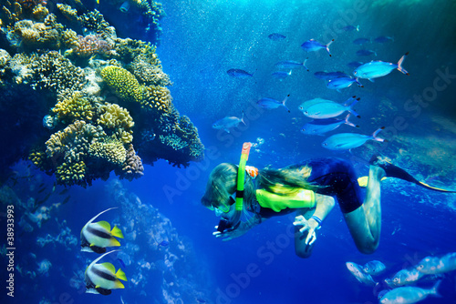 Photo: Group of coral fish in blue water. Group of coral fish in blue water.