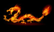 Illustration: Fire Dragon Fire Dragon