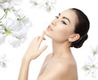 woman beauty